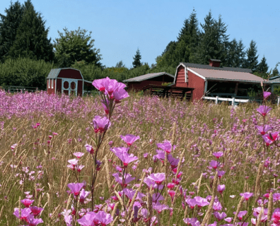 Wildflowers to Legal Triumph: The Power of Planning and Preparation