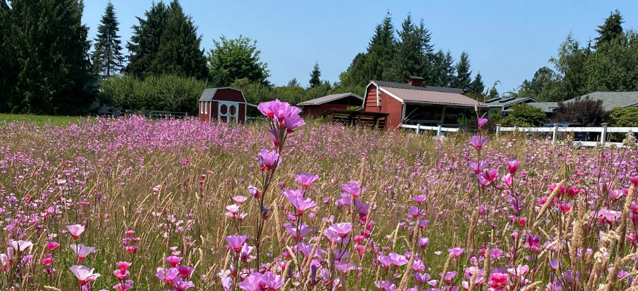Wildflowers to Legal Triumph: The Power of Planning and Preparation